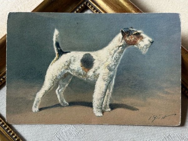 画像2: Postcard　アンティークポストカード　ワイヤーフォックステリア犬　スイス製　（未使用） (2)