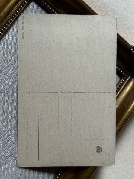 画像3: Postcard　アンティークポストカード　ワイヤーフォックステリア犬　スイス製　（未使用） (3)