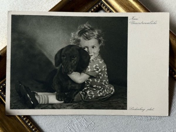 画像2: Postcard　アンティークポストカード　ダックスフンド犬と小さな女の子　ドイツ　（未使用） (2)