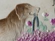 画像3: Postcard　アンティークポストカード　お花かごを運ぶ犬　ゴールデンレトリバー　アイリッシュセッター　（未使用） (3)