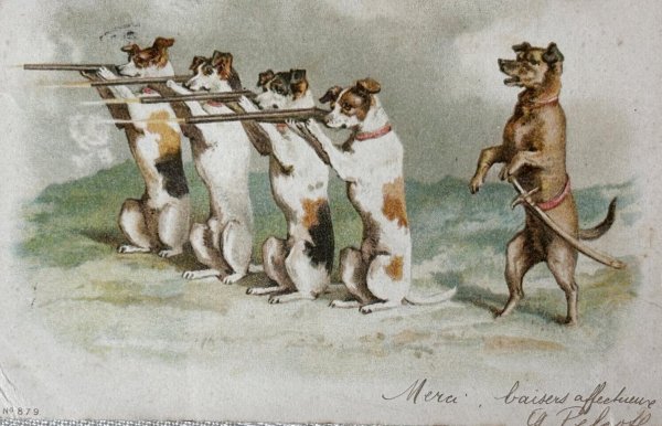 画像1: Postcard　アンティークポストカード　訓練中の犬たち　銃　ミリタリー　フランス1902年　 Helena Maguire (1)