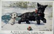 画像1: Postcard　アンティークポストカード　氷の池に落ちた友達を助けるスコティッシュテリア犬　Florence E Valter (未使用) (1)