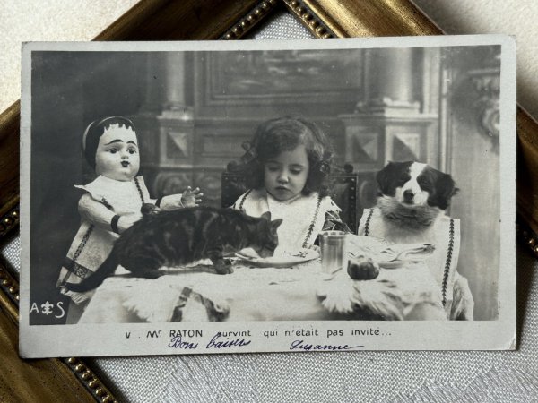 画像3: Postcard　アンティークポストカード　お茶の時間　女の子のティータイム　犬とお人形と猫　フランス1904年　写真 (3)