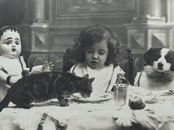 画像2: Postcard　アンティークポストカード　お茶の時間　女の子のティータイム　犬とお人形と猫　フランス1904年　写真 (2)