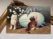 画像2: Postcard　アンティークポストカード 　イースター　3匹の子猫と卵 (2)
