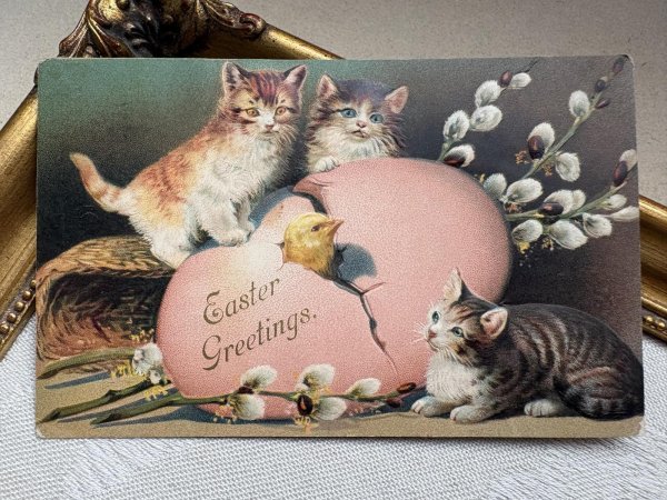 画像2: Postcard　アンティークポストカード 　イースター　3匹の子猫と卵から生まれたヒヨコ (2)
