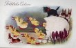 画像1: Postcard　アンティークポストカード 　イースター　黒猫と卵から生まれたヒヨコ　ウサギ　クロッカス　（未使用） (1)