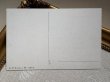 画像3: Postcard　アンティークポストカード 　イースター　黒猫と卵から生まれたヒヨコ　ウサギ　クロッカス　（未使用） (3)