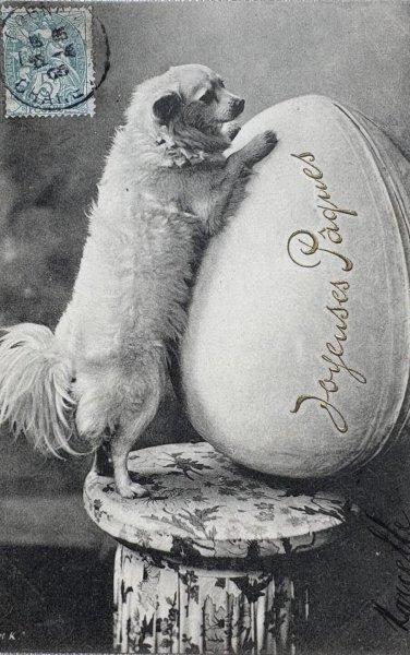 画像1: Postcard　アンティークポストカード 　イースター　大きな卵と犬　フランス1905年 (1)