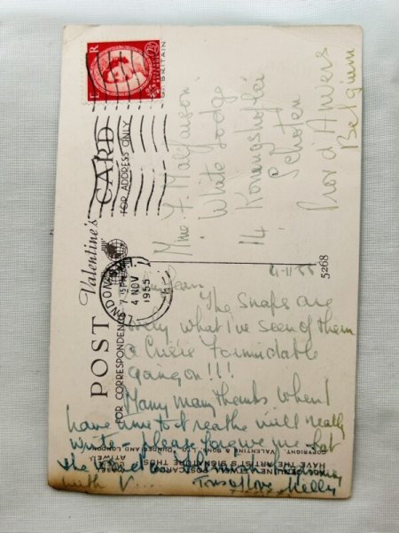 画像4: Postcard 　アンティークポストカード　女の子の内緒話　小鳥　5268　 Mabel Lucie Attwell (4)