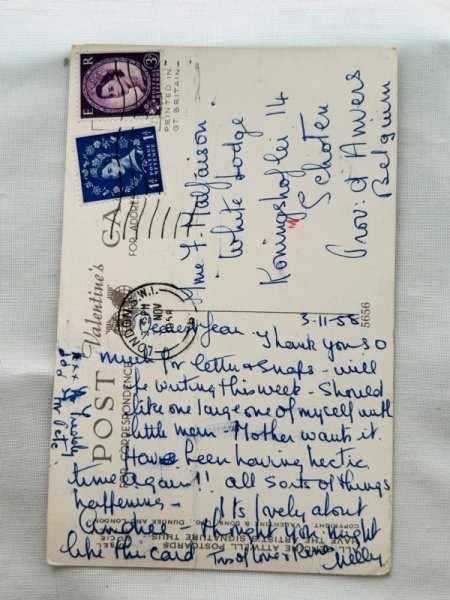 画像2: Postcard  アンティークポストカード 赤ちゃんを取り巻く妖精 Mabel Lucie Attwell  (2)