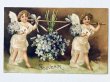 画像1: Postcard  アンティークポストカード　スミレのお花を運ぶ天使　Ellen Clapsaddle (1)