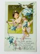 画像1: Postcard  アンティークポストカード　忘れな草のお花と天使　鳩　アメリカ1913年 (1)