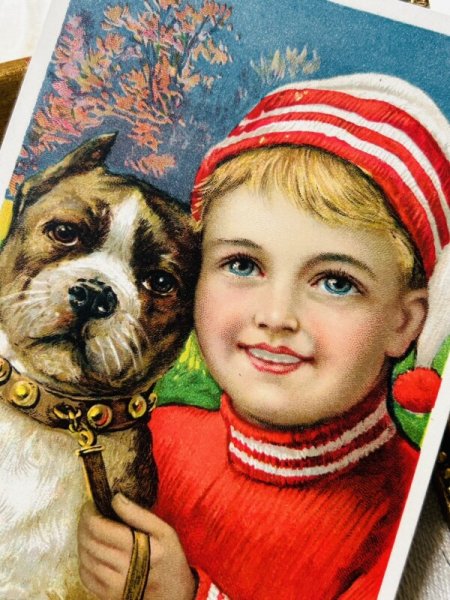 画像3: Vintage trade card  アンティークトレードカード 男の子と犬 アメリカン・スタッフォードシャー・テリア (3)