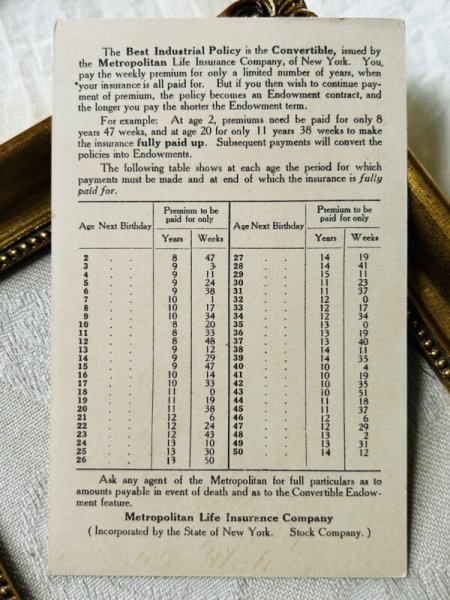 画像4: Vintage trade card  アンティークトレードカード 男の子と犬 アメリカン・スタッフォードシャー・テリア (4)