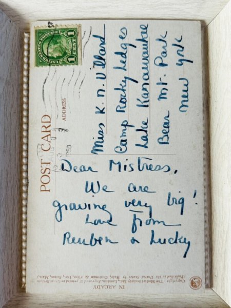 画像3: Postcard  アンティークポストカード　春の妖精と女の子　うさぎ　Springtime in Arcady by Margaret Tarrant (3)