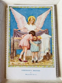 Snowdrop Postcards アンティークポストカード専門店 < M.Tarrant >