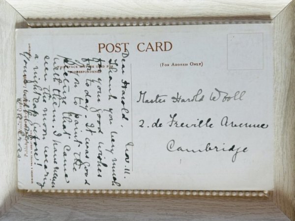 画像2: Postcard アンティークポストカード 蓮池のカワネズミと妖精エルフ Millicent Sowerby (2)