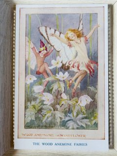 Snowdrop Postcards アンティークポストカード専門店 【M.Tarrant】