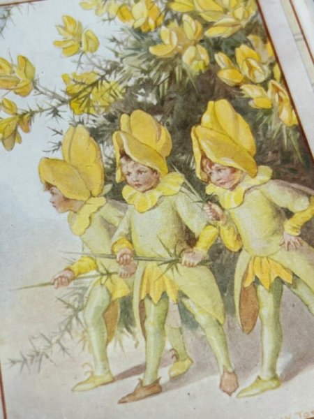 画像2: Postcard  アンティークポストカード　ゴースのお花の妖精（gorse）The Gorse Fairies by Margaret Tarrant (2)