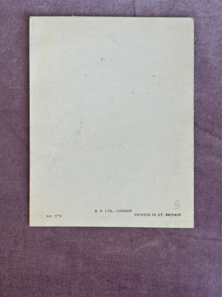 画像3: Greeting card　アンティークグリーティングカード　クリスマス　犬　イギリス (3)