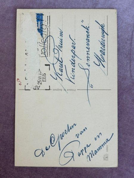 画像2: Postcard アンティークポストカード 腕の悪い獣医さん? 犬 ブルドッグ プードル スパニエル オランダ1955年 (2)