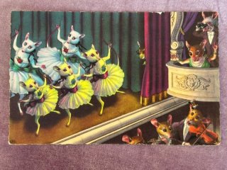 Snowdrop Postcards アンティークポストカード専門店 【写真