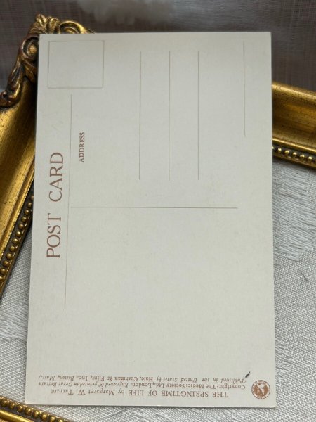 画像4: Postcard  アンティークポストカード　ヒバリの声を聞く女の子　お花畑　Lark's Song　Margaret Tarrant　イギリス （未使用） (4)