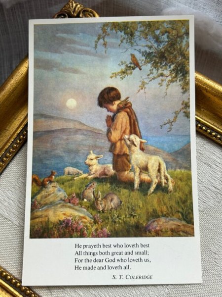 画像2: Postcard  ビンテージポストカード　祈る少年　羊　うさぎ　 Margaret Tarrant　（未使用） (2)