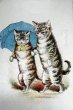 画像1: Vintage Trade Card　アンティーク　トレードカード　傘をさして歩く猫　アメリカ (1)