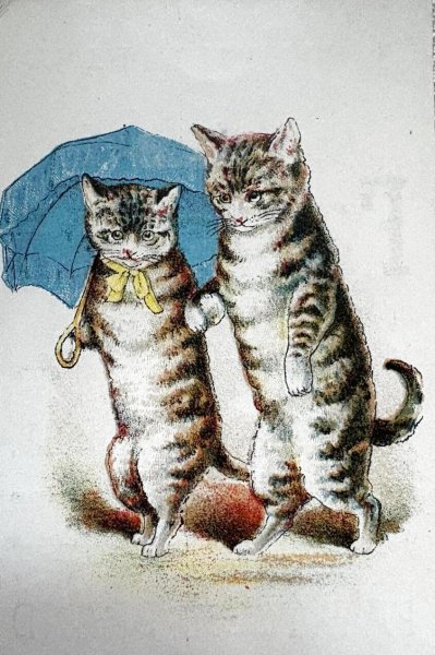 画像1: Vintage Trade Card　アンティーク　トレードカード　傘をさして歩く猫　アメリカ (1)