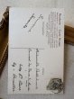 画像3: Postcard アンティークポストカード オランダの子どもたち Ellen Clapsaddle  フランス1909年 (3)