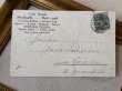 画像4: Postcard  アンティークポストカード   イースター ニワトリとヒヨコにそーっと近づく女の子 ドイツ1907年 (4)