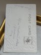 画像3: Postcard 　アンティークポストカード 　バレンタイン　女の子たち　姉妹 (3)