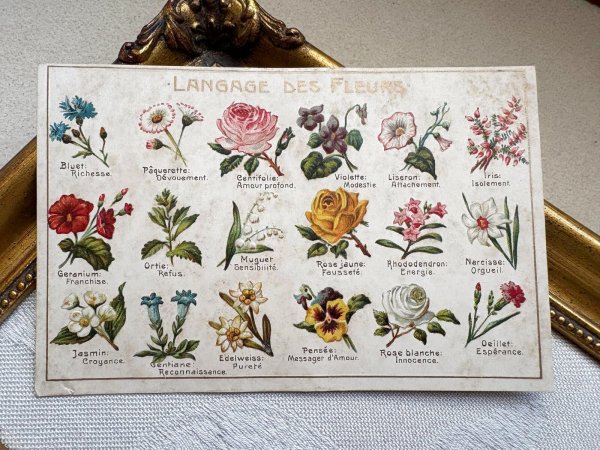 画像2: Postcard　アンティークポストカード　花言葉　フランス (2)