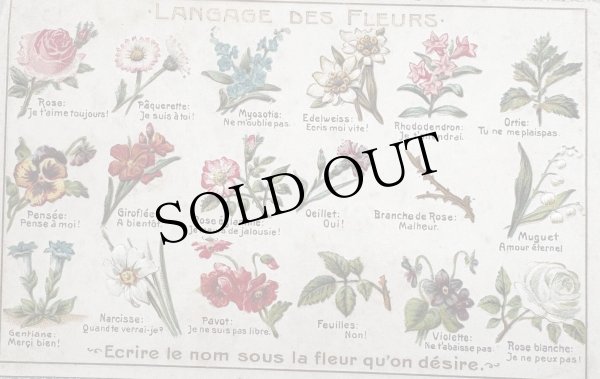 画像1: Postcard　アンティークポストカード　花言葉　フランス　（未使用） (1)