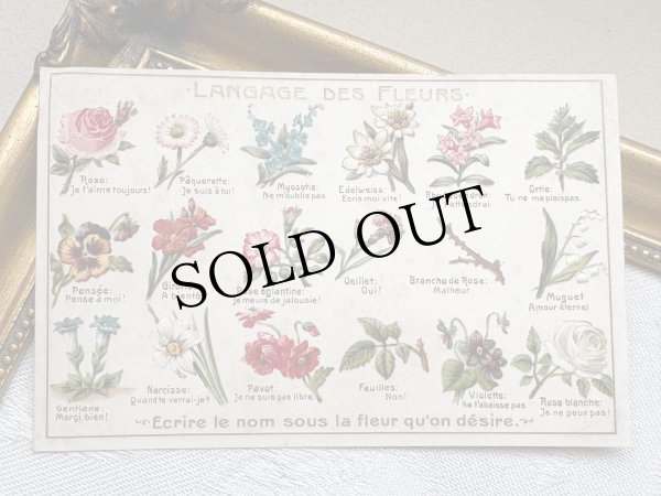 画像2: Postcard　アンティークポストカード　花言葉　フランス　（未使用） (2)