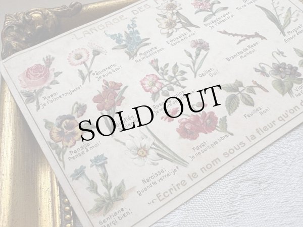 画像3: Postcard　アンティークポストカード　花言葉　フランス　（未使用） (3)