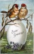 画像1: Postcard 　アンティークポストカード 　イースター　ゴシキヒワ European Goldfinch と大きな卵 (1)