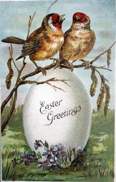 画像1: Postcard 　アンティークポストカード 　イースター　ゴシキヒワ European Goldfinch と大きな卵 (1)