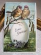 画像2: Postcard 　アンティークポストカード 　イースター　ゴシキヒワ European Goldfinch と大きな卵 (2)