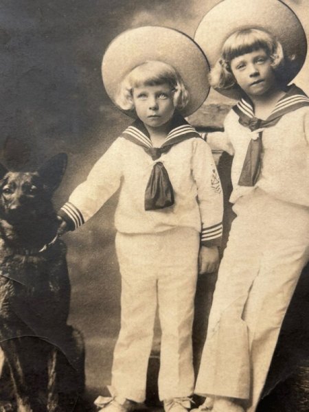 画像2: Postcard    アンティークポストカード ベルギー レオポルド王子とシャルル王子と犬 ベルジアンシェパード スキッパーキ (2)