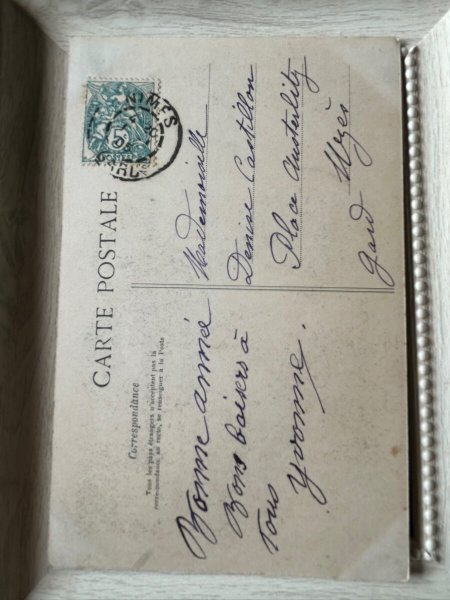 画像3: Postcard 　アンティークポストカード　バスケットの中の猫と女の子　写真　フランス1905年 (3)