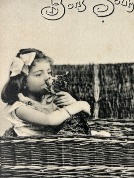 画像2: Postcard 　アンティークポストカード　バスケットの中の猫と女の子　写真　フランス1905年 (2)