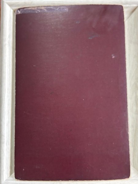 画像3: Vintage Cabinet Card Photo　ビクトリアンフォト　アンティーク　肖像写真　女性　グラスゴー　スコットランド（大判写真） (3)