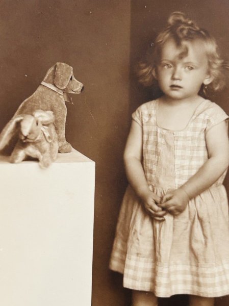 画像3: Postcard　アンティークポストカード　肖像写真　女の子とぬいぐるみ　犬　ウサギ　写真　ドイツ1931年 (3)