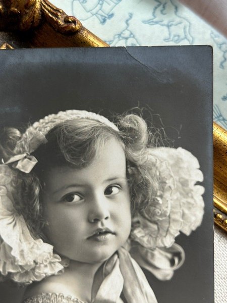 上部に小さな折れあり。