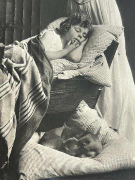 画像2: Postcard　アンティークポストカード　女の子と犬を見守る守護天使　写真　ドイツ1909年 (2)