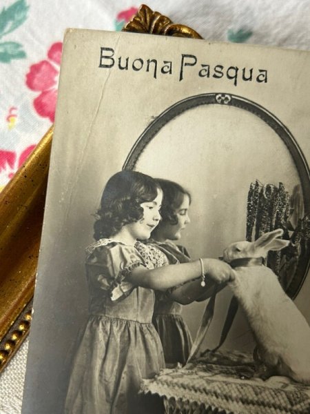 画像4: Postcard　アンティークポストカード　ウサギと女の子　うさぎ　兎　鏡　写真　スイス1916年 (4)