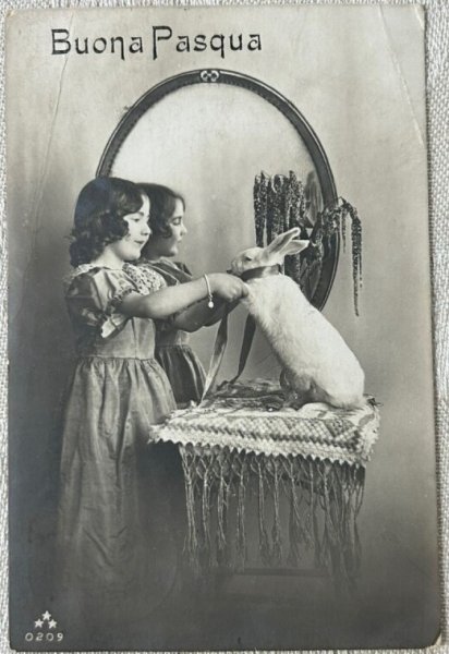 画像1: Postcard　アンティークポストカード　ウサギと女の子　うさぎ　兎　鏡　写真　スイス1916年 (1)